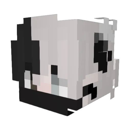 Nitr0ix Minecraft avatar head, 3D render