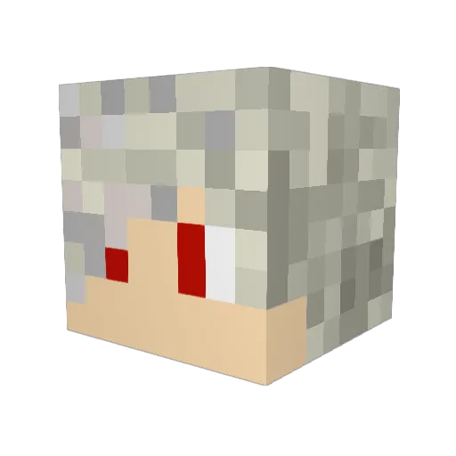 NitroCH Minecraft avatar head, 3D render