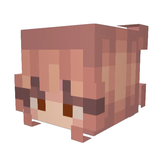 NitroColdBrew96 Minecraft avatar head, 3D render