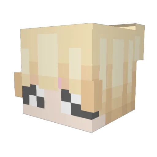 NitroThePro Minecraft avatar head, 3D render