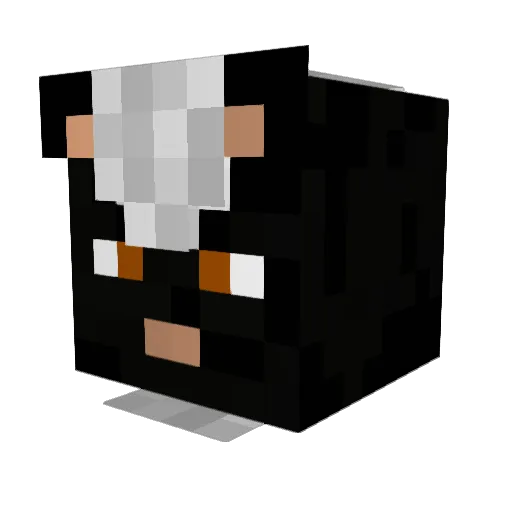 Nitro_Skunk Minecraft avatar head, 3D render