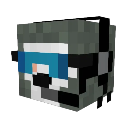 Nitro_TNT Minecraft avatar head, 3D render