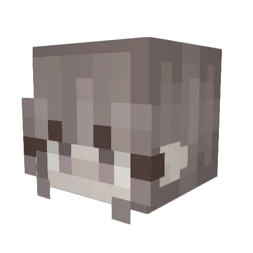 Nitromo1 Minecraft avatar head, 3D render