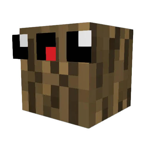 Nitron191 Minecraft avatar head, 3D render