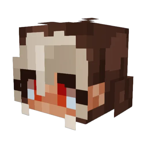 NitronRbn Minecraft avatar head, 3D render