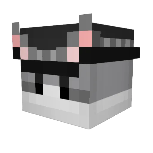 Nitroslasher Minecraft avatar head, 3D render