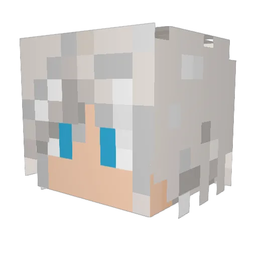 NitrousWayne Minecraft avatar head, 3D render