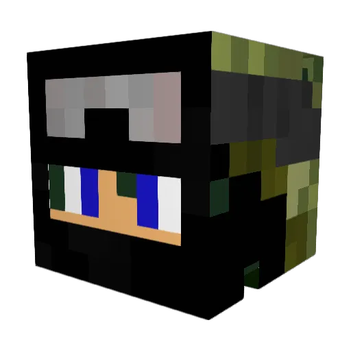 Nitrowazinski7 Minecraft avatar head, 3D render