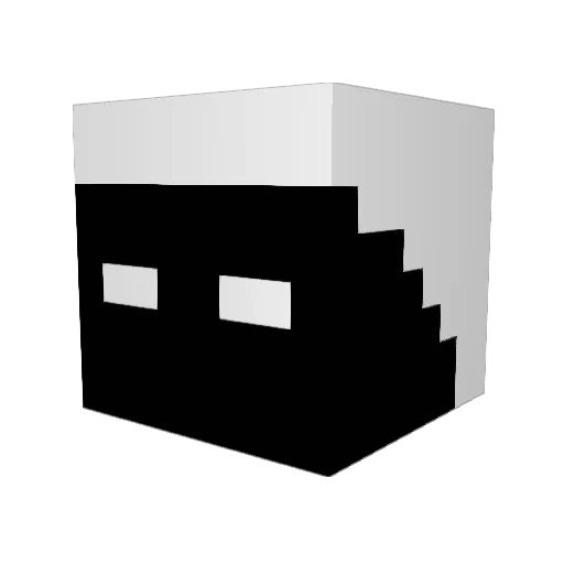 NitruS1337 Minecraft avatar head, 3D render