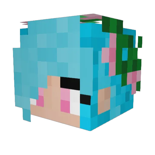 Nitsah_ Minecraft avatar head, 3D render