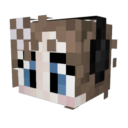 Nitsirk301 Minecraft avatar head, 3D render