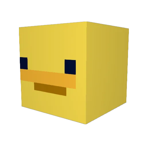 NityFlity24 Minecraft avatar head, 3D render