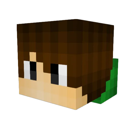 Nitzor Minecraft avatar head, 3D render