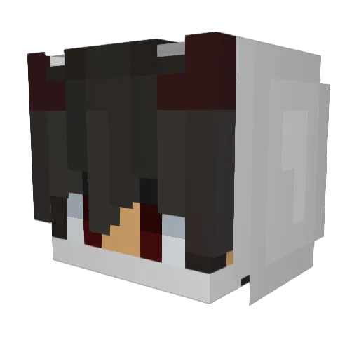 Niuniu_OG Minecraft avatar head, 3D render