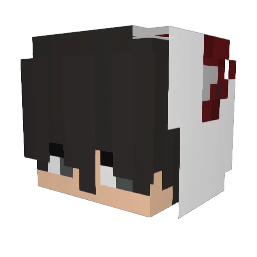 NiveCode2 Minecraft avatar head, 3D render