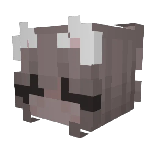 Nivle13 Minecraft avatar head, 3D render