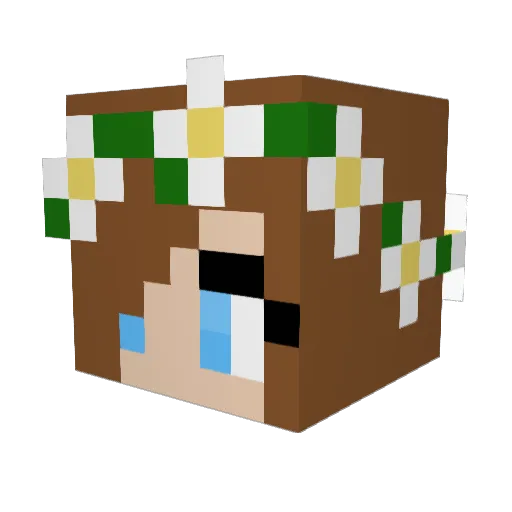 Nivosica Minecraft avatar head, 3D render