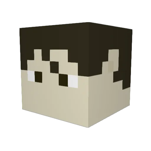 Nivra2468 Minecraft avatar head, 3D render