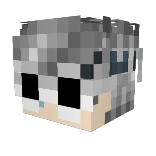 Niwzin Minecraft avatar head, 3D render