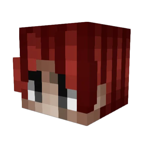 NixE4588 Minecraft avatar head, 3D render