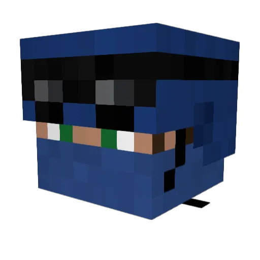 NixReign Minecraft avatar head, 3D render