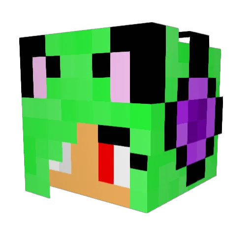 Nix____ Minecraft avatar head, 3D render