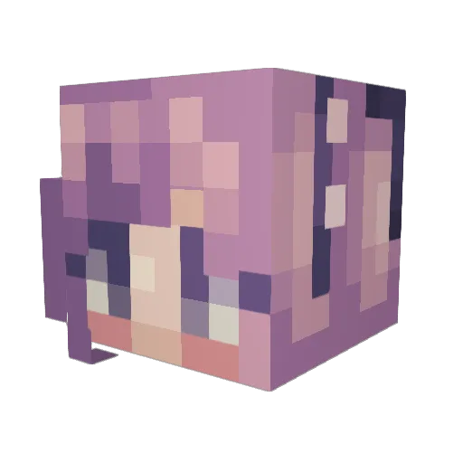 Nixbuni Minecraft avatar head, 3D render