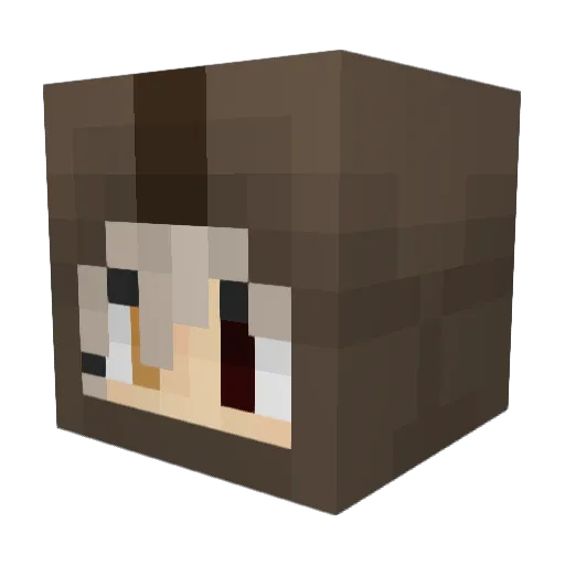 Nixdragonix Minecraft avatar head, 3D render