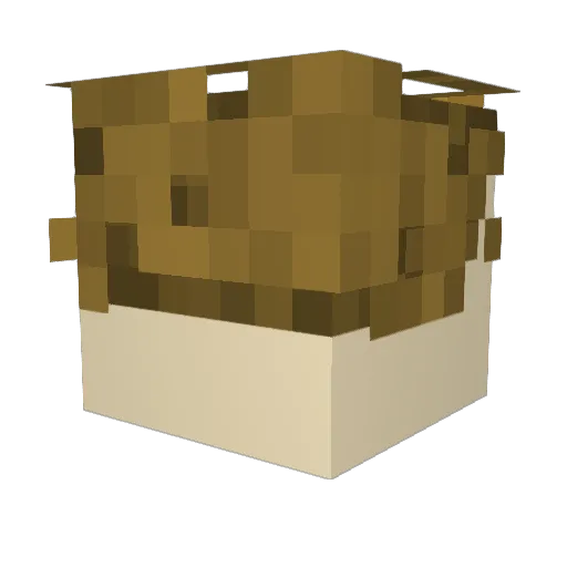 Nixe2020 Minecraft avatar head, 3D render
