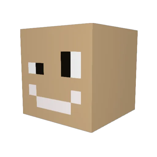 Nixeingefalln Minecraft avatar head, 3D render