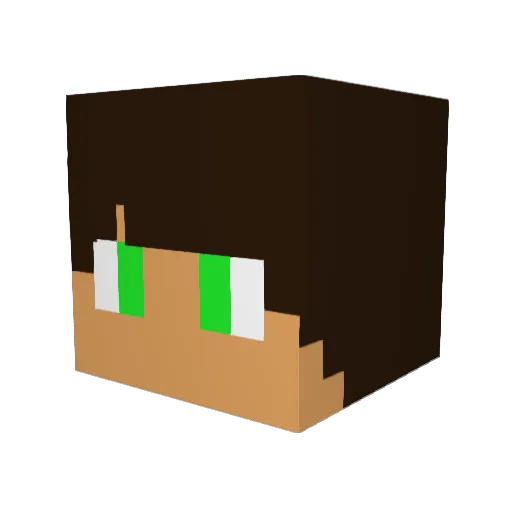 Nixel2105 Minecraft avatar head, 3D render