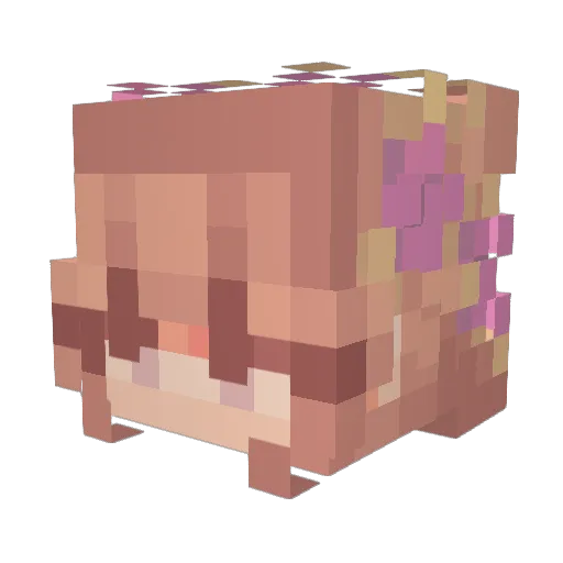 Nixforarson Minecraft avatar head, 3D render