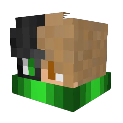 Nixgeht_ Minecraft avatar head, 3D render