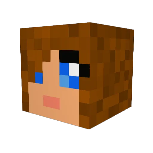 Nixi1203 Minecraft avatar head, 3D render