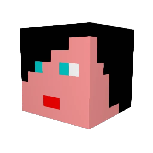 Nixi77 Minecraft avatar head, 3D render