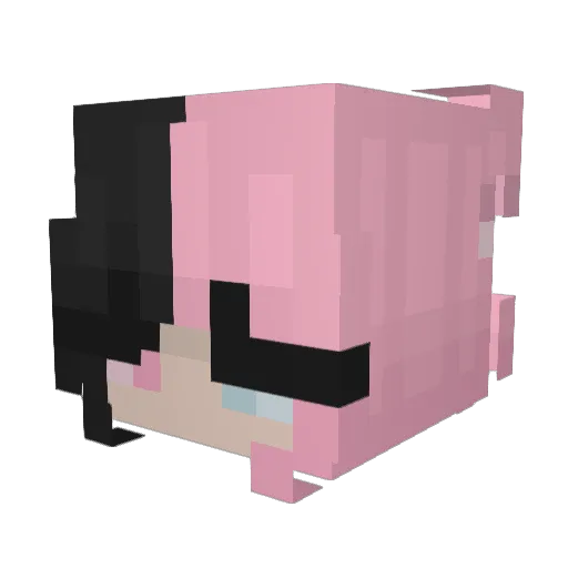 Nixie2322 Minecraft avatar head, 3D render