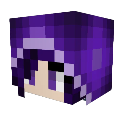 NixieCraft Minecraft avatar head, 3D render