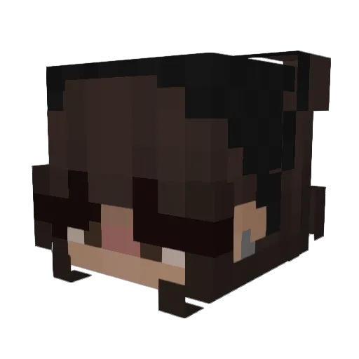 Nixoleee Minecraft avatar head, 3D render