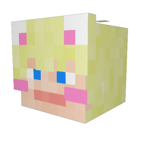 NixonBean Minecraft avatar head, 3D render