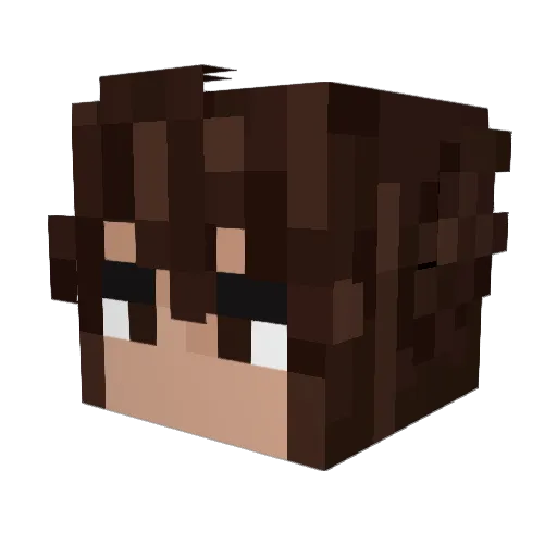 Nixou_ Minecraft avatar head, 3D render