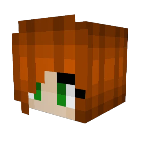 Nixshune Minecraft avatar head, 3D render