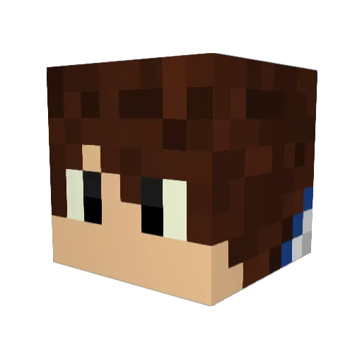 Nixsuu Minecraft avatar head, 3D render