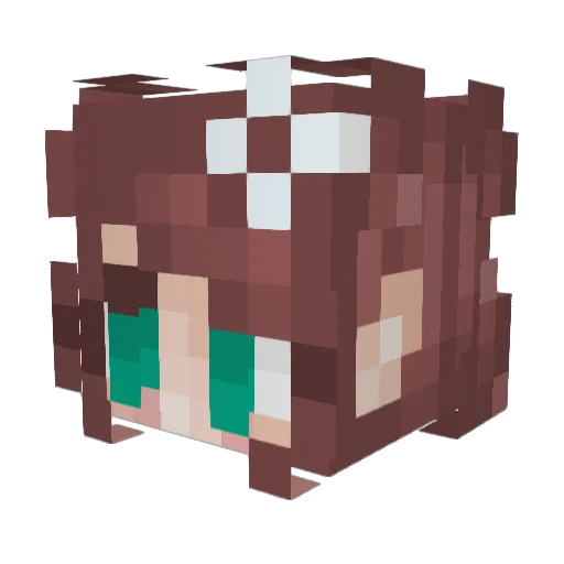 NixtheStick_ Minecraft avatar head, 3D render
