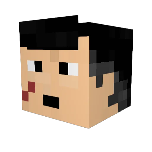 Niya1008 Minecraft avatar head, 3D render