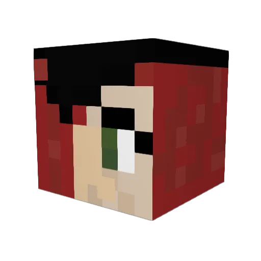 Nizara Minecraft avatar head, 3D render