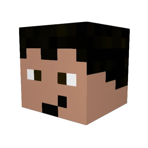 Njay13337 Minecraft avatar head, 3D render