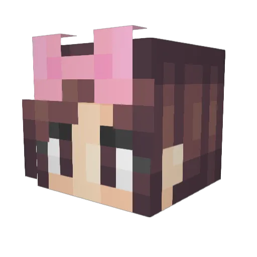 NjessRimmm21 Minecraft avatar head, 3D render