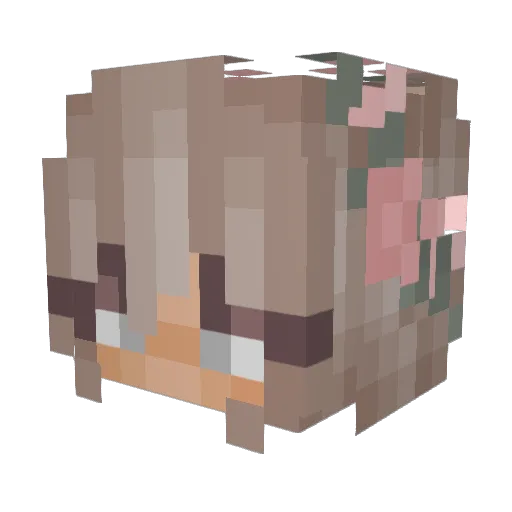 Njordi81 Minecraft avatar head, 3D render