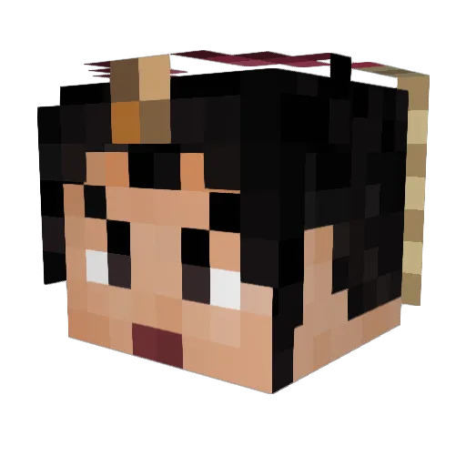 Nking99 Minecraft avatar head, 3D render