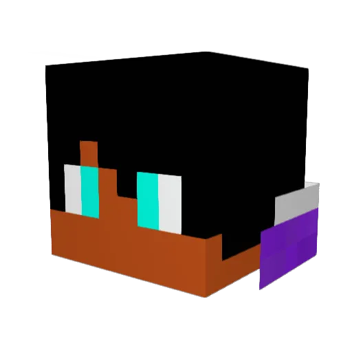Nkols Minecraft avatar head, 3D render